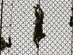 Как спецназ ВМС США готовит первоклассных лидеров