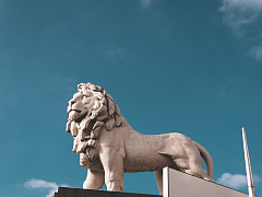 Дмитрий Жуков. Животное начало лидерства