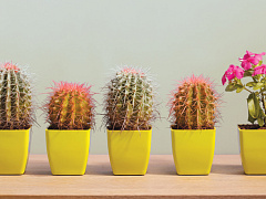 Загадочный русский менеджмент: пора меняться!