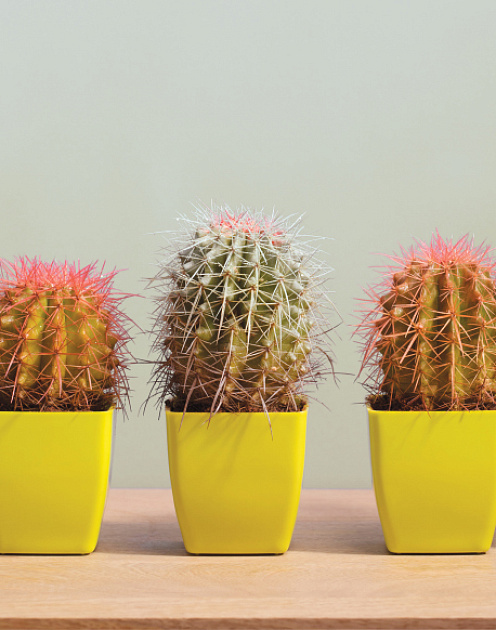 Загадочный русский менеджмент: пора меняться!