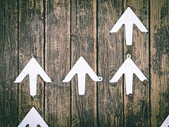 Девять признаков того, что вы добьетесь успеха после кризиса