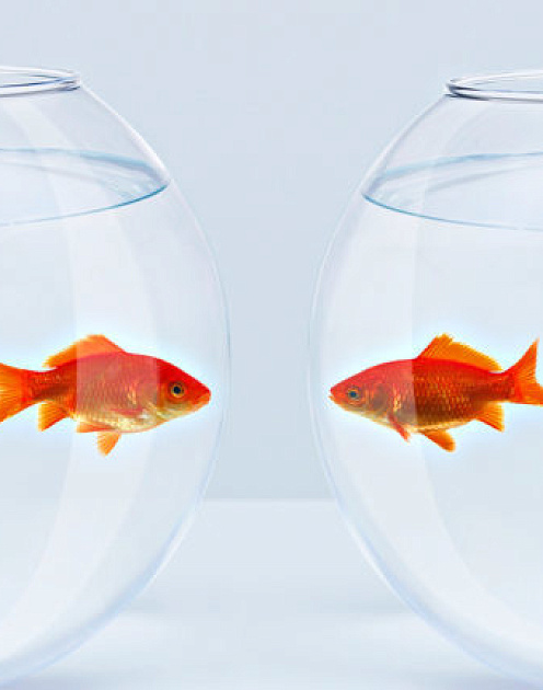 Пять принципов, которые помогут исправить испорченные отношения