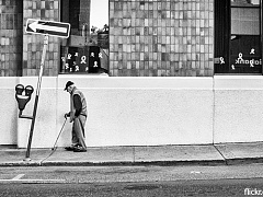 Врожденное и приобретенное в поведении