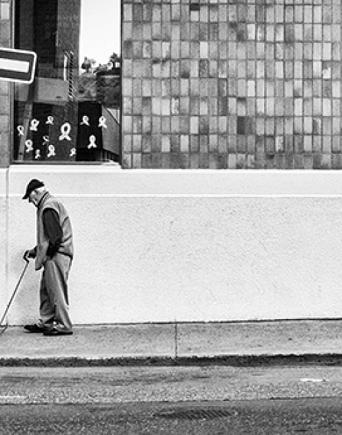 Врожденное и приобретенное в поведении