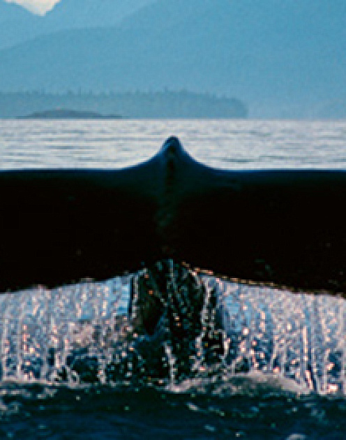 Как слушать, когда кто-то изливает душу