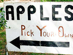 Почему Apple Pay — это подарок Visa и MasterCard