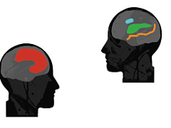 Когда эмоции важнее разума