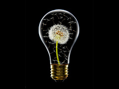 Хотите инноваций? Забудьте о свободе