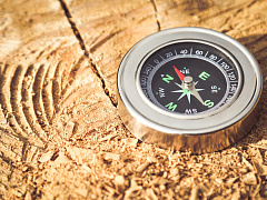 Как управлять бизнесом в условиях неопределенности