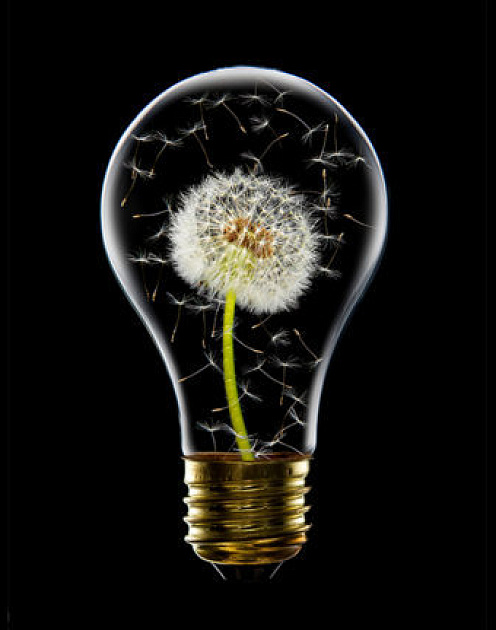 Хотите инноваций? Забудьте о свободе