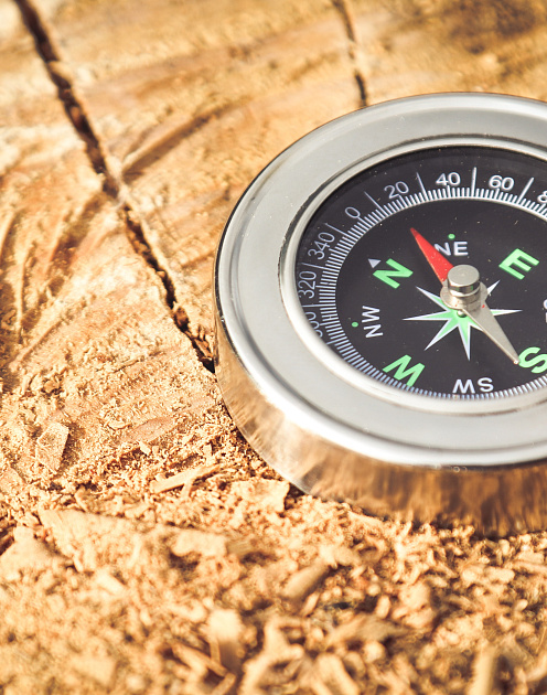 Как найти лучшего коуча